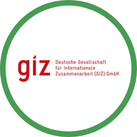 giz logo